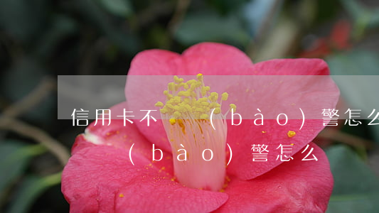 信用卡不還報(bào)警怎么辦(信用卡不還報(bào)警怎么辦)