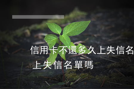 信用卡不還多久上失信名單(欠信用卡不還會上失信名單嗎)