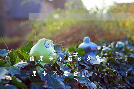 信用卡不還多久會(huì)影響子女(欠信用卡不還會(huì)影響子女嗎)