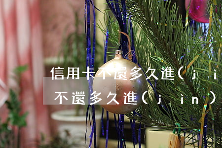 信用卡不還多久進(jìn)黑名單(信用卡不還多久進(jìn)黑名單)