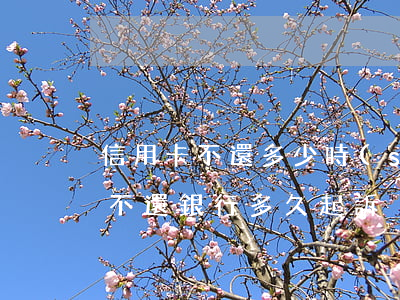 信用卡不還多少時(shí)間起訴(信用卡不還銀行多久起訴)