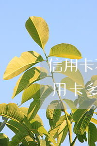 信用卡不還多少金額會(huì)判刑(欠信用卡多少錢會(huì)被判刑)