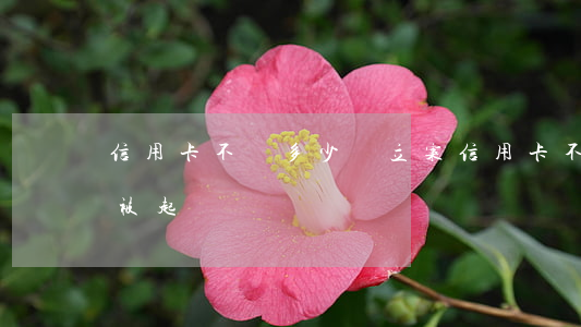信用卡不還多少錢立案(信用卡不還多少錢會被起訴)