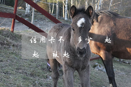 信用卡不還多少錢起訴(幾千塊錢信用卡還不起會被起訴嗎)