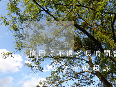 信用卡不還多長時間會被起訴(信用卡欠款還不上多久會被起訴)