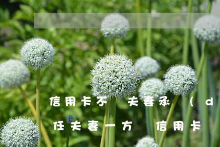 信用卡不還夫妻承擔(dān)責(zé)任(夫妻一方辦信用卡還不上對方承擔(dān)責(zé)任嗎)