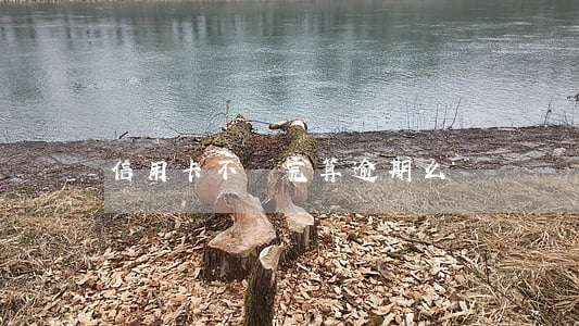 信用卡不還完算逾期么