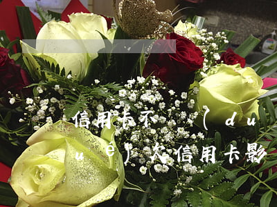 信用卡不還對(duì)兒女錄取大學(xué)(欠信用卡影響孩子上大學(xué)嗎)