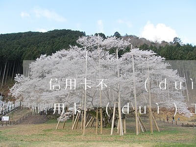 信用卡不還對(duì)工作有影響嗎(辦信用卡對(duì)工作單位有影響嗎)