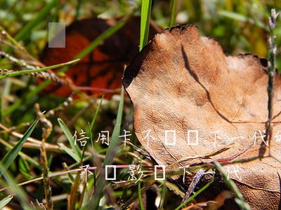 信用卡不還對下一代的影響(還不起信用卡會不會影響下一代)