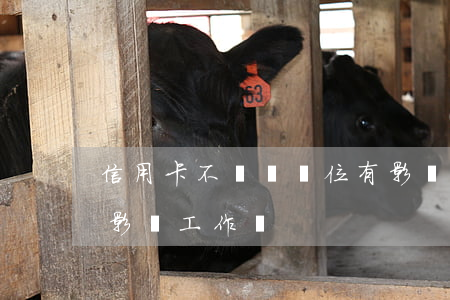 信用卡不還對單位有影響嗎(欠信用卡不還會影響工作嗎)