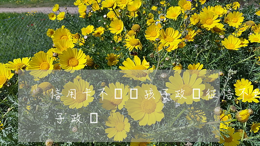 信用卡不還對孩子政審(征信不好影不影響孩子政審)