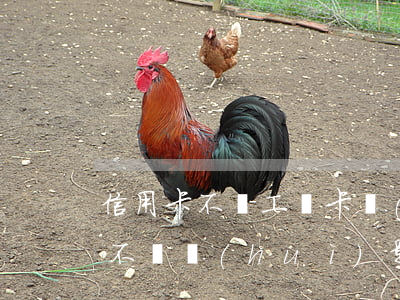 信用卡不還工資卡會(huì)封嗎(信用卡不還會(huì)影響工資卡嗎)