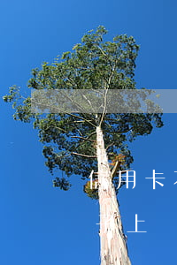 信用卡不還影響孩子上大學(用信用卡影響孩子上學嗎)
