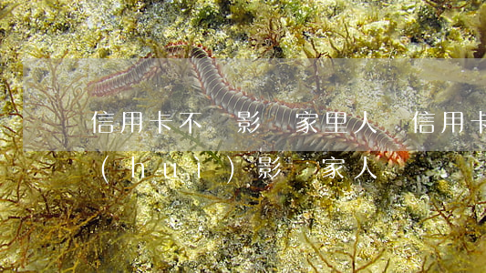 信用卡不還影響家里人嗎(信用卡欠錢不還會(huì)影響家人嗎)