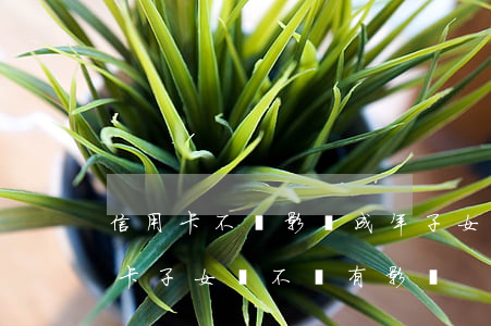 信用卡不還影響成年子女嗎(父母還不上信用卡,子女會不會有影響)