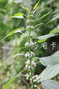 信用卡不還影響房貸么(信用卡會影響房貸嗎)