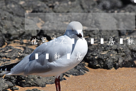 信用卡不還影響買房貸款嗎(有信用卡影不影響貸款買房)