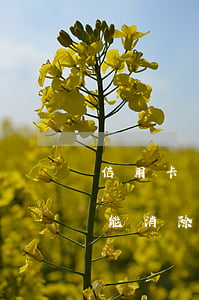 信用卡不還怎么才能消除(信用卡不還怎么才能消除)