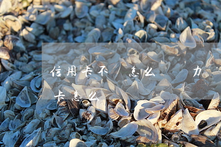 信用卡不還怎么辦無力償還(實在無力還信用卡怎么辦)