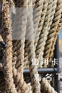信用卡不還房子能過戶嗎(房子過戶前需要還清名下所有的信用卡嗎)