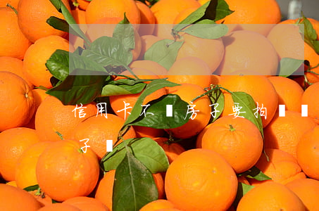 信用卡不還房子要拍賣嗎(信用卡不還會收房子嗎)