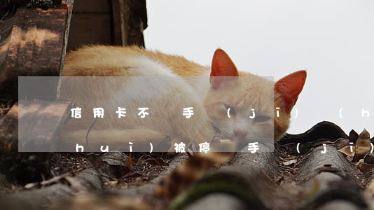 信用卡不還手機(jī)號(hào)會(huì)被停嗎(手機(jī)號(hào)欠費(fèi)停機(jī)會(huì)影響信用嗎)