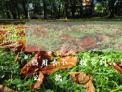 信用卡不還找不到人怎么辦(找不到信用卡怎么還款)