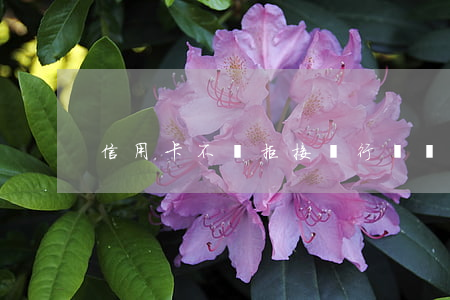 信用卡不還拒接銀行來電