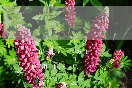 信用卡不還按什么計(jì)算利息(怎么還信用卡利息)