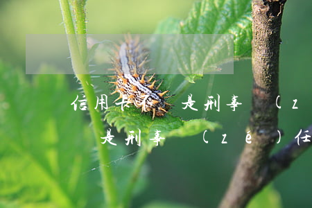 信用卡不還是刑事責(zé)任嗎(信用卡不還是刑事責(zé)任嗎)