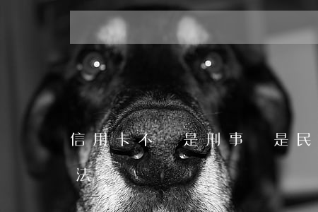 信用卡不還是刑事還是民事(欠信用卡涉及刑法嗎)