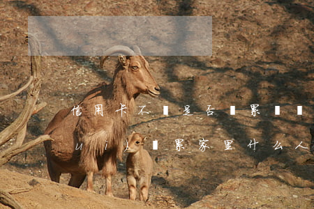 信用卡不還是否連累親屬(信用卡不還會(huì)連累家里什么人)