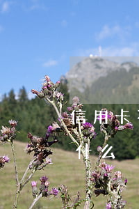 信用卡不還是抓人還是法院(欠信用卡的錢為什么沒人抓)