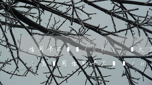 信用卡不還時(shí)間久了會(huì)怎樣(用信用卡不還會(huì)怎么樣)