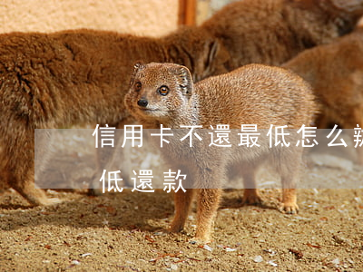 信用卡不還最低怎么辦理(信用卡如何辦理最低還款)