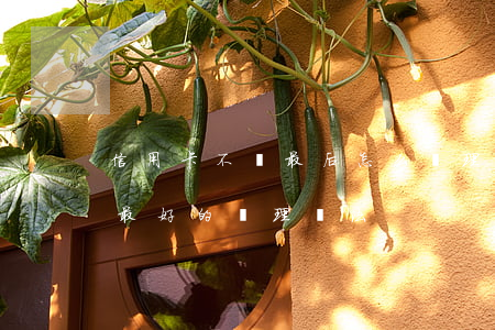 信用卡不還最后怎么處理(信用卡暫時還不了最好的處理辦法)