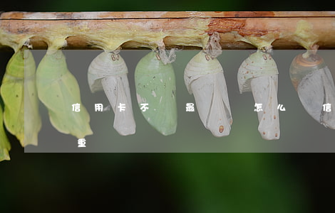 信用卡不還最壞會怎么樣(信用卡不還后果嚴重嗎)