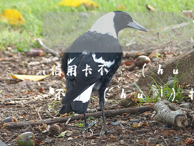 信用卡不還會(huì)上門討債嗎(信用卡不還會(huì)找上門嗎?)