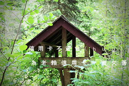 信用卡不還會(huì)不會(huì)成為老賴(信用卡一直欠著不還會(huì)怎么樣)