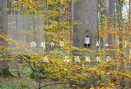 信用卡不還會(huì)不會(huì)成為老賴(欠信用卡不還會(huì)成為老賴嗎)