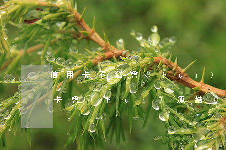 信用卡不還會(huì)停退休金嗎(欠信用卡會(huì)凍結(jié)退休金嗎)