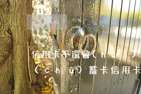 信用卡不還會(huì)凍結(jié)儲(chǔ)蓄卡(信用卡不還會(huì)凍結(jié)儲(chǔ)蓄卡嗎)