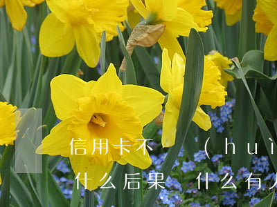 信用卡不還會(huì)出現(xiàn)什么后果(為什么有人信用卡不還也沒事)