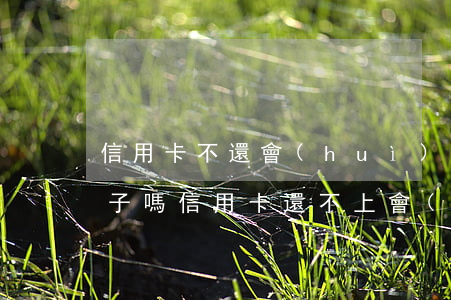 信用卡不還會(huì)動(dòng)房子嗎(信用卡還不上會(huì)不會(huì)沒收房子)