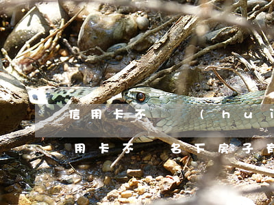 信用卡不還會(huì)影響到房子嗎(欠信用卡不還名下房子有影響嗎)