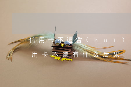 信用卡不還會(huì)怎樣光大卡(光大信用卡不還有什么后果)