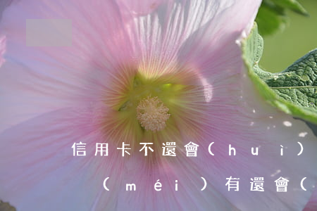 信用卡不還會(huì)扣其他卡錢(信用卡沒(méi)有還,會(huì)不會(huì)扣其他卡的錢)