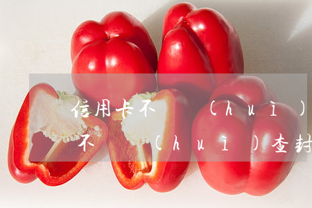 信用卡不還會(huì)扣押房子嗎(信用卡不還會(huì)查封房產(chǎn),怎么辦)