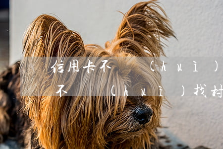 信用卡不還會(huì)找村干部么(信用卡不還會(huì)找村干部么)